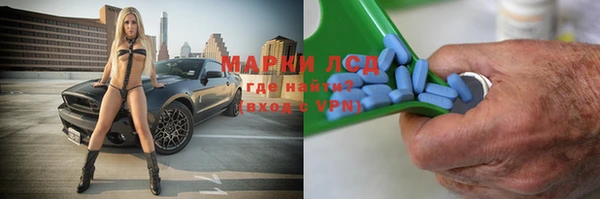 мяу мяу мука Баксан